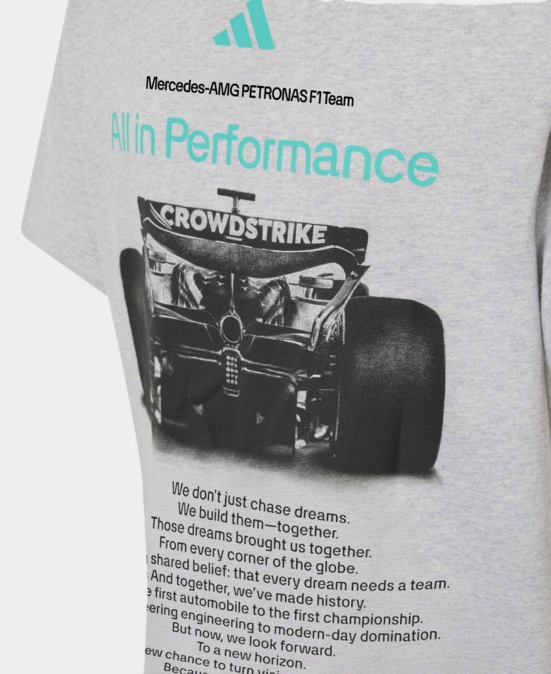 Big Boys and Girls Gray Mercedes-AMG Petronas F1 Team Graphic T-Shirt