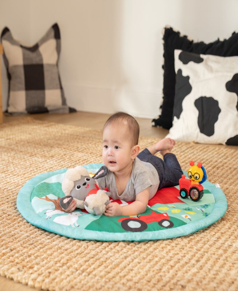 Infant Farm Explorers Happy Harvest Touch Feel Activity Gym