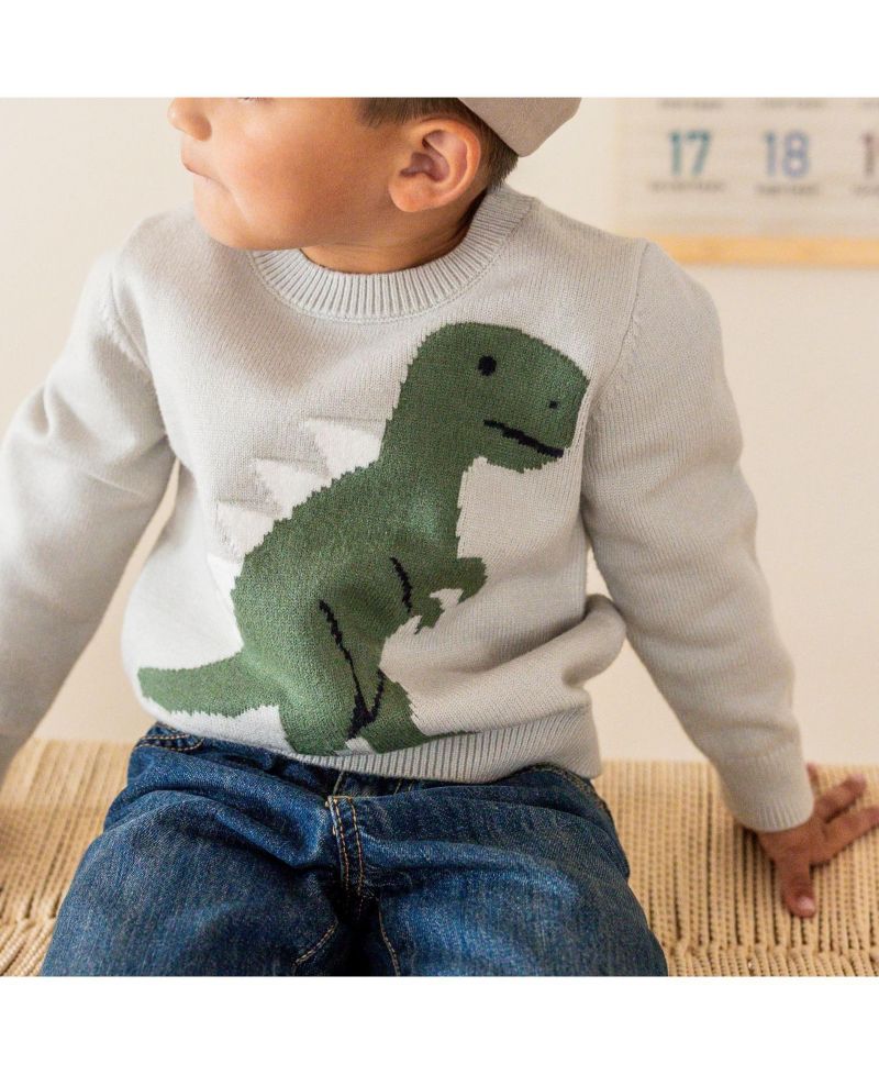 Little Boys Dinosaur Sweater