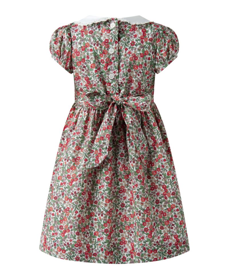 Toddler Girls' 2T-5T Botanical Frill Front Puff Sleeve Dress