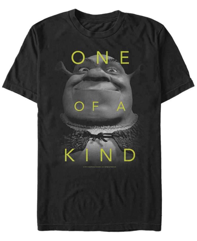 Shrek Men's One of A Kind Short Sleeve T-Shirt