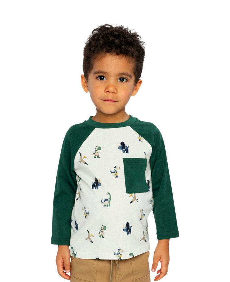 Baby Boys (12M-24M) Long Sleeve Raglan T-Shirt Dinosaur Print