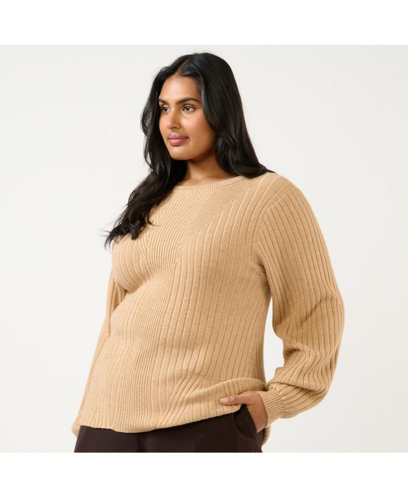 Plus Size Remi Ribbed Crew Neck Sweater Knit