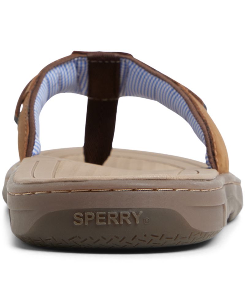 Men's Baitfish Thong Sandals