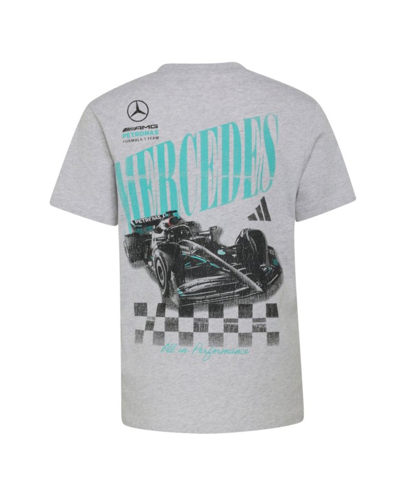 Big Boys and Girls Heather Gray Mercedes-AMG Petronas F1 Team All In Performance Graphic T-Shirt