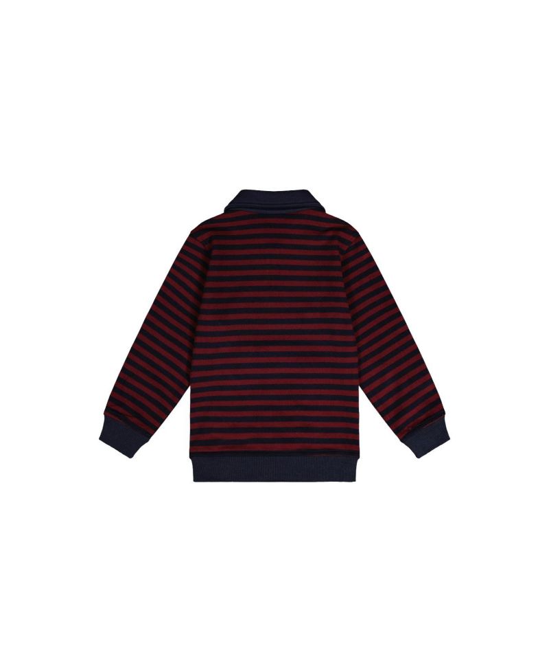 Little Boys (6-12) Brushed Jersey