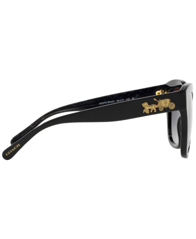 Polarized Sunglasses, HC8264 L1083