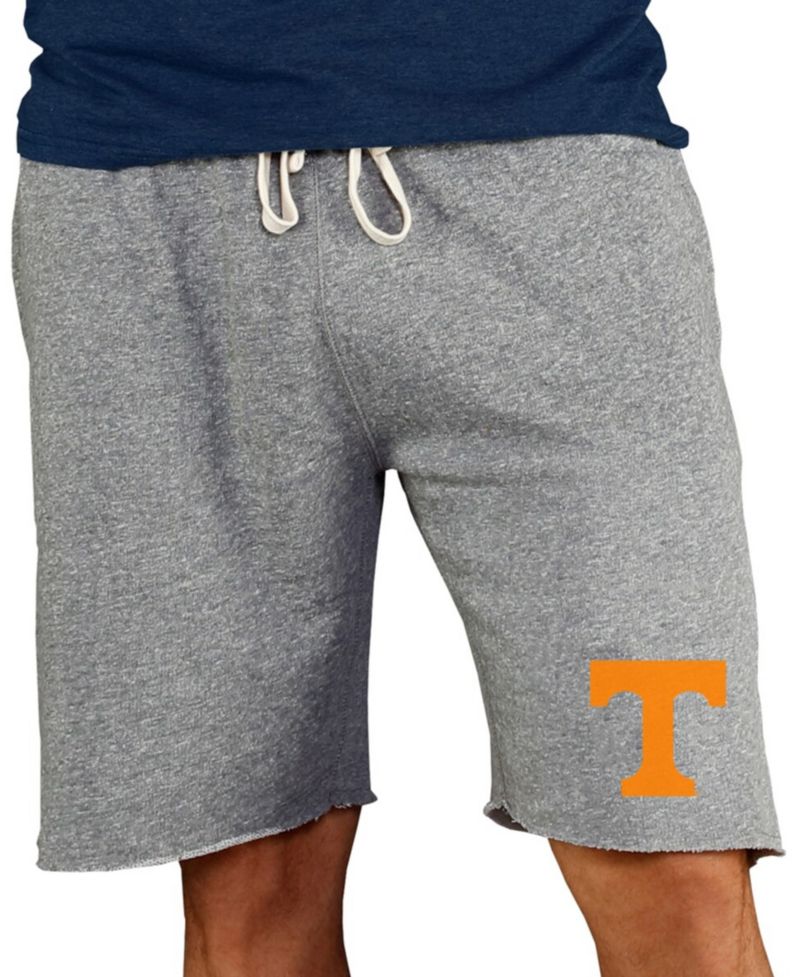 Men's Gray Tennessee Volunteers Mainstream Terry Shorts