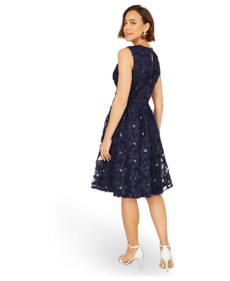 Women's Sequin Floral Applique Skater Dress