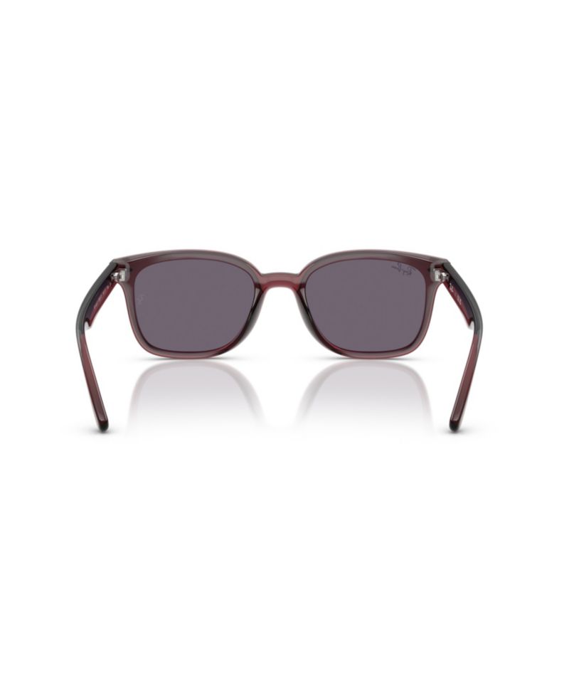 Unisex Round Face Sunglasses RB4461D