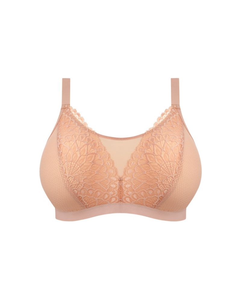 Plus Size Tiernie Wireless Unlined Lace Bralette, EL303317