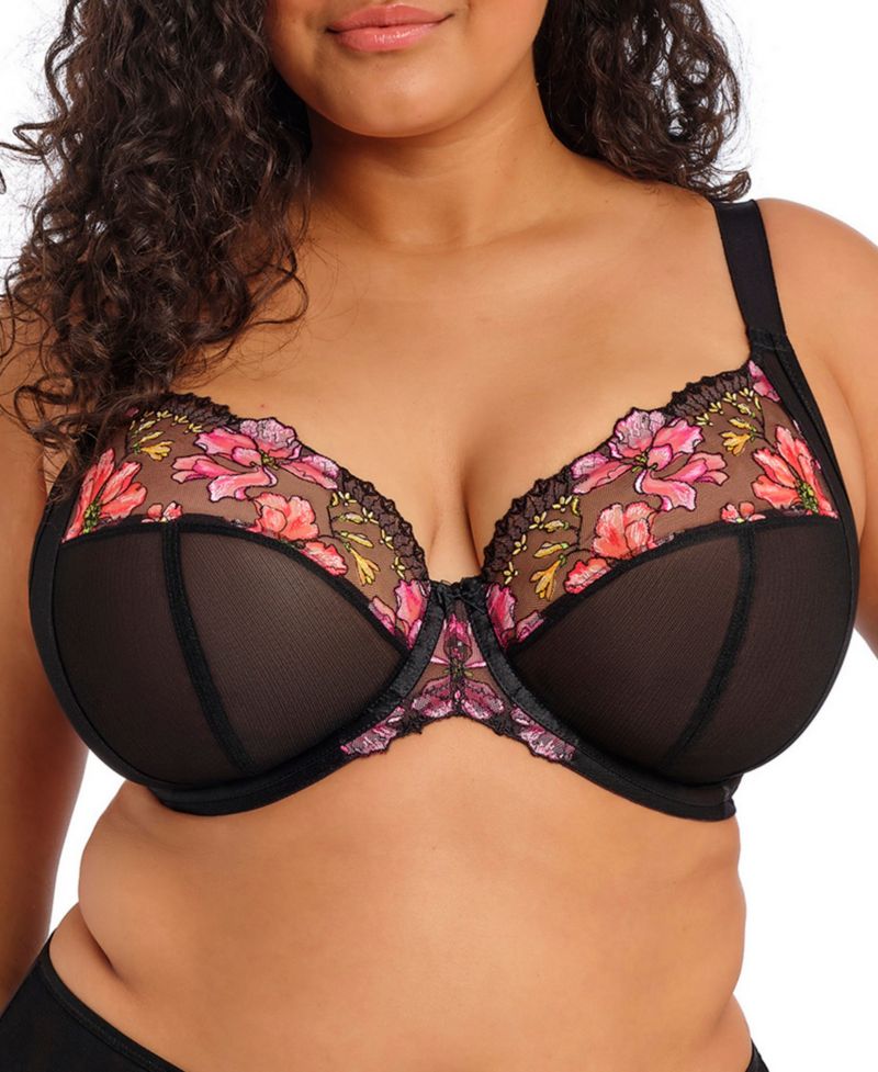 Plus Size Teagan Underwire Plunge Bra