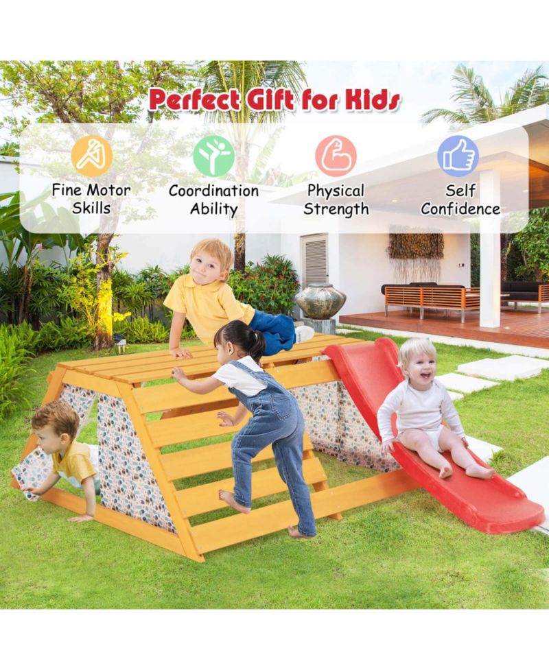 Ages 3-8 5-in-1 Indoor Jungle Gym