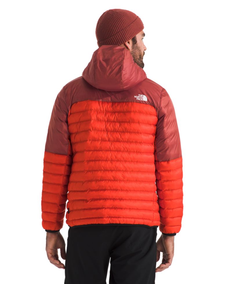 Men's Terra Peak Hoodie