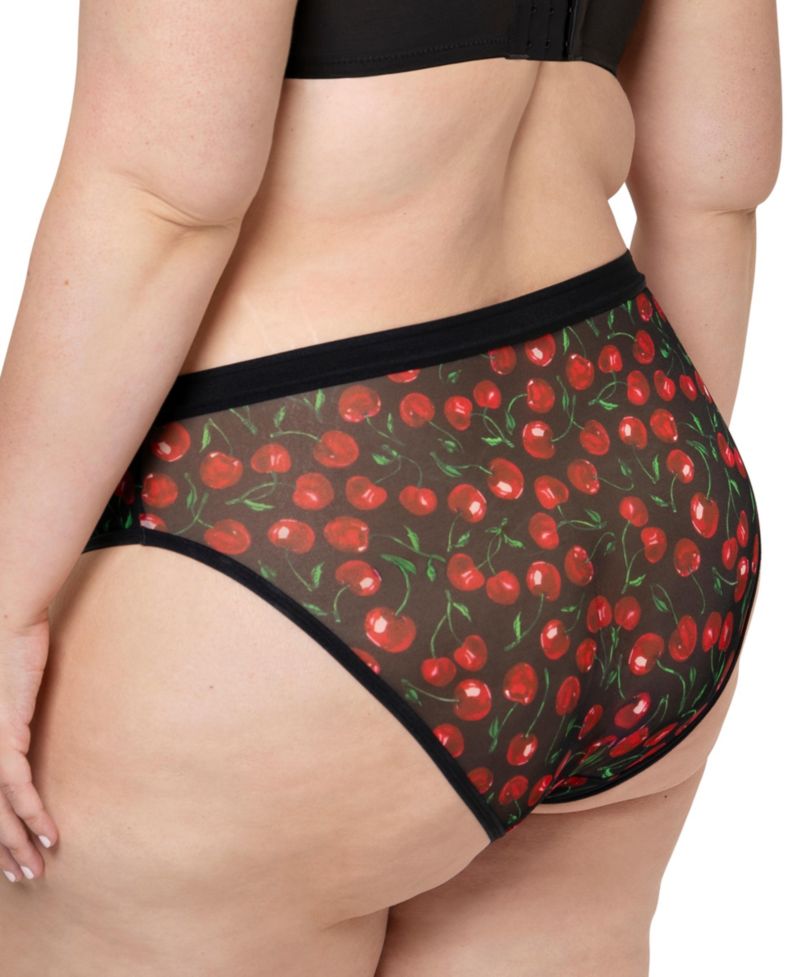Women's Sheer Mesh High Cut Brief Panty