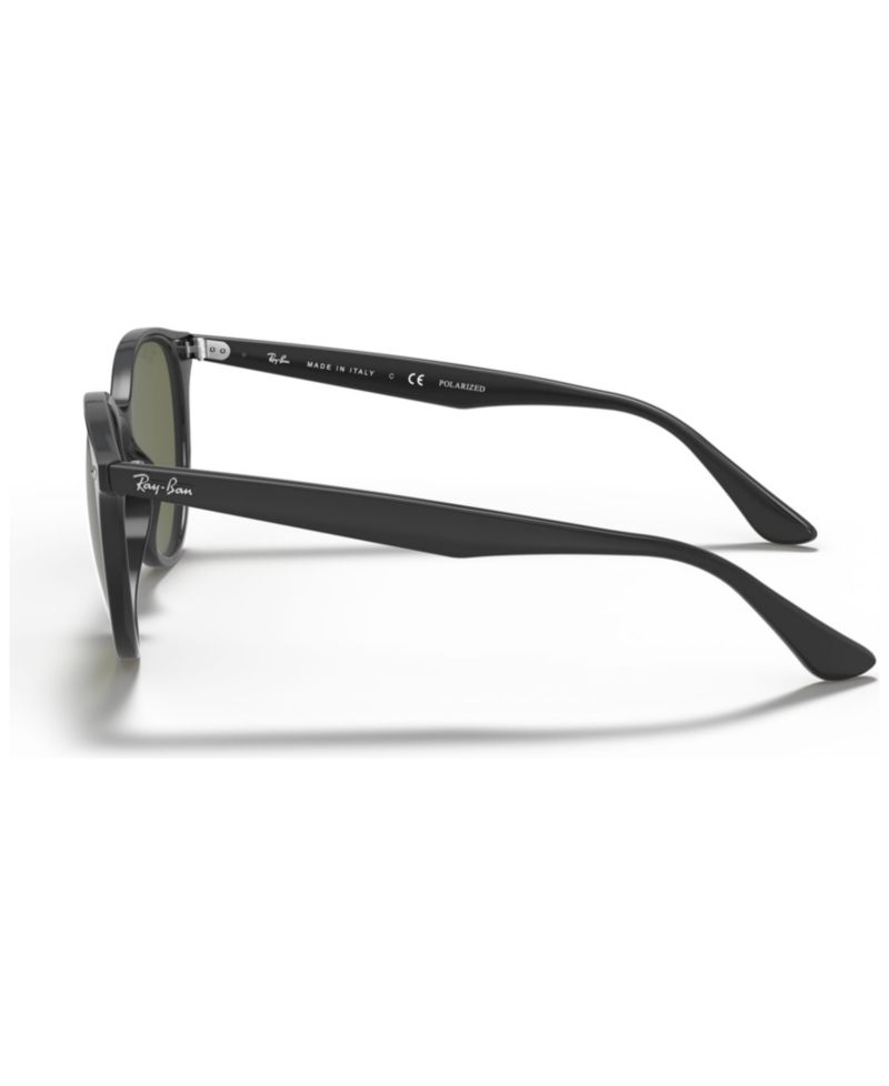 Polarized Sunglasses, RB4305 53