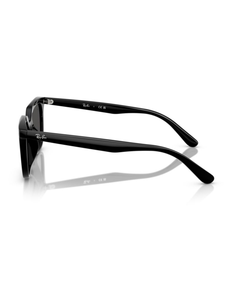 Unisex Round Sunglasses, RB4439D