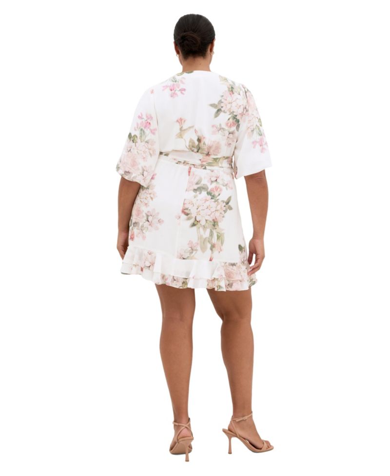 Women's Plus Size Koko Print Mini Dress