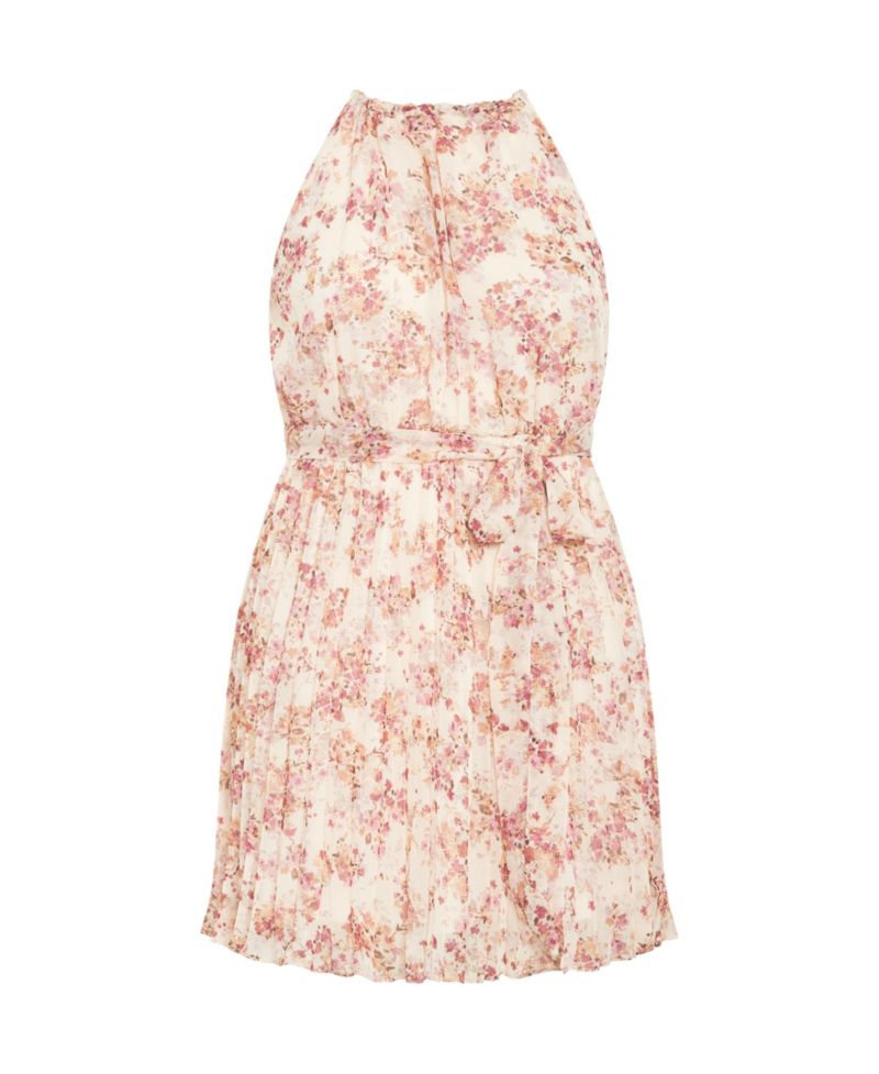 Plus Size Kimmi Dress