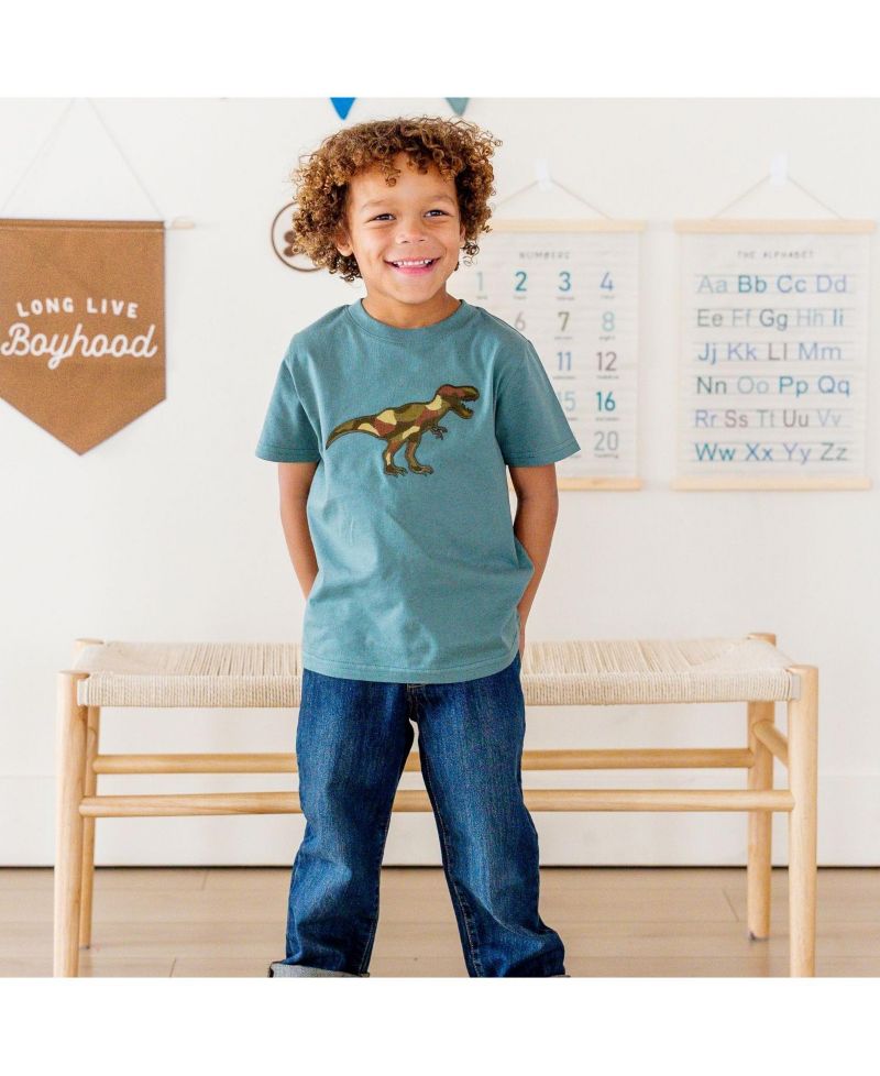 Big Boys Camo Dino Patch Short Sleeve T-Shirt