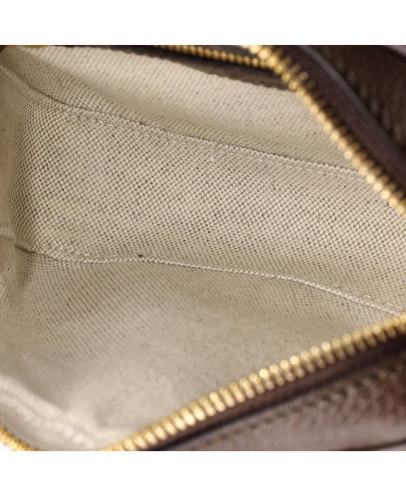 Mini Ophidia Flap Shoulder Bag GG Coated Canvas