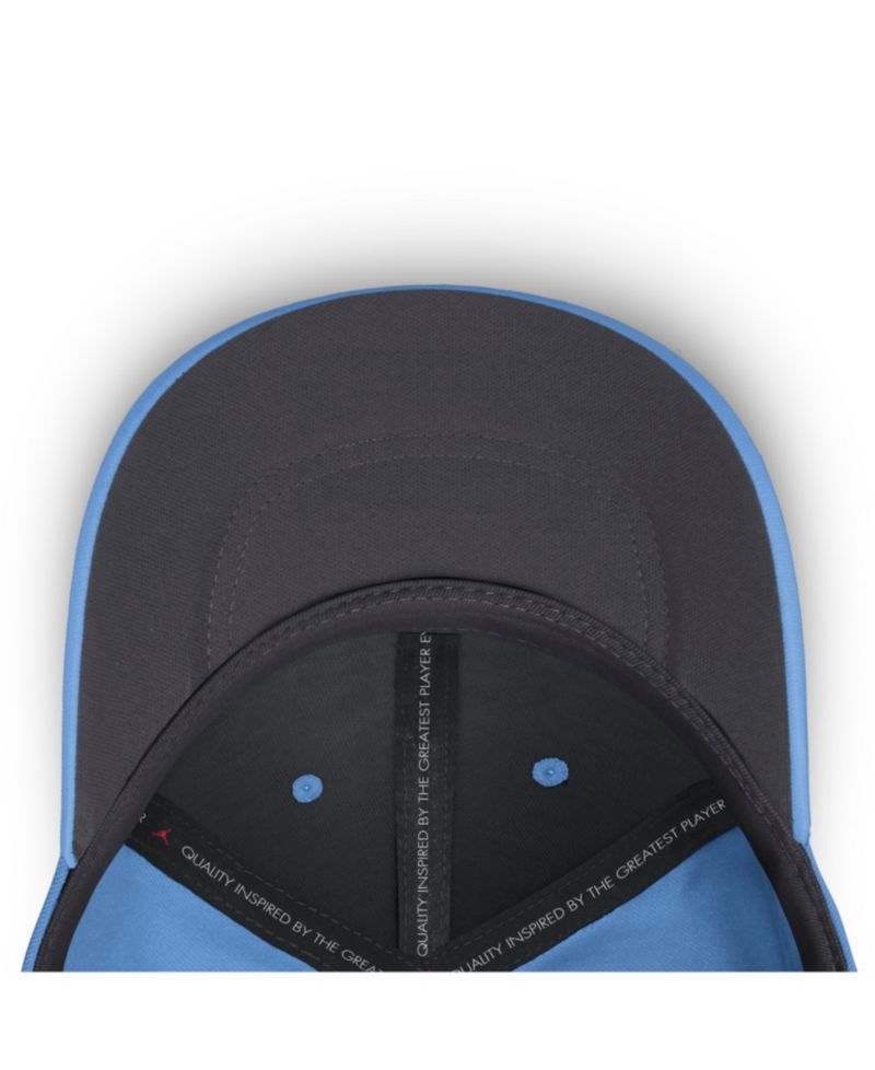 Men's Carolina Blue North Carolina Tar Heels Gameday Aerobill Swooshflex Dri-FIT Hat