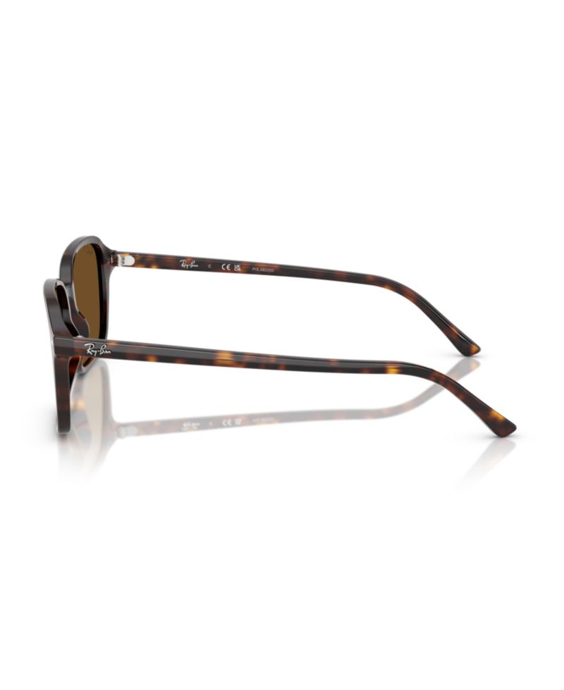 Unisex Raimond Polarized Sunglasses, RB2231