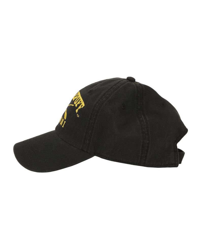 Men's Hufflepuff Alumni Adult Unstructured Baseball Cap