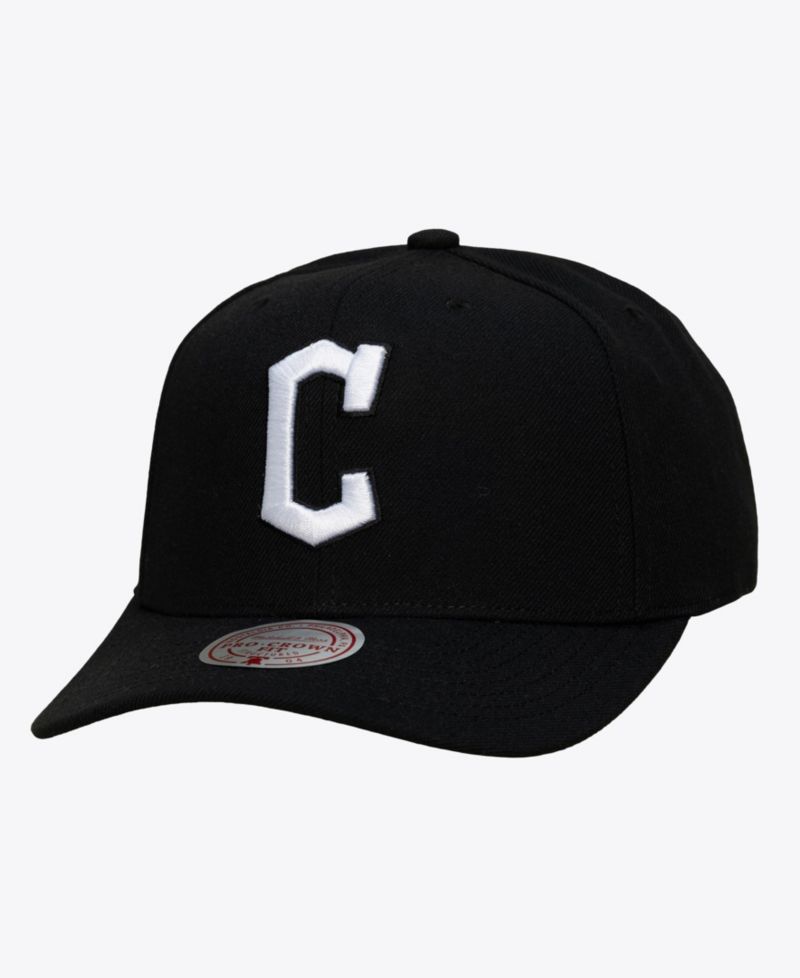 Men's Black Cleveland Guardians Black and White Pro Crown Snapback