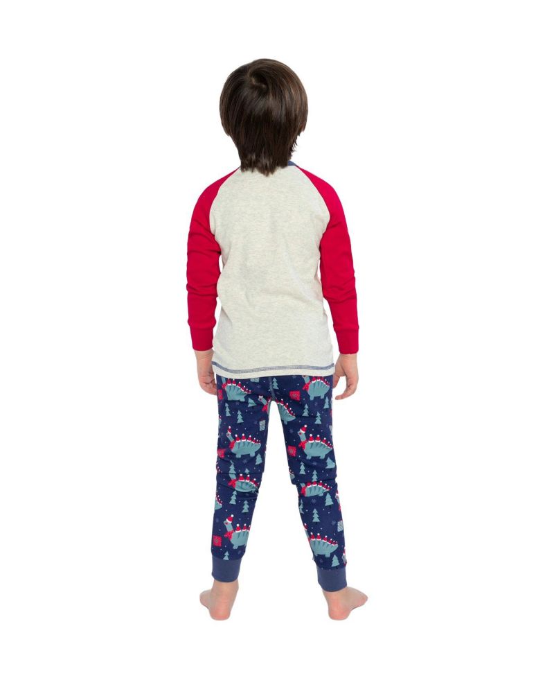 Little Boys 6-12 Cotton Two Piece Pajama Set Dinosaur Print