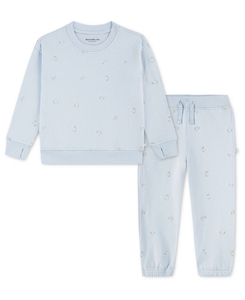 Toddler Girls' 2T-5T Sweatshirt and Pants, 2-Piece Set