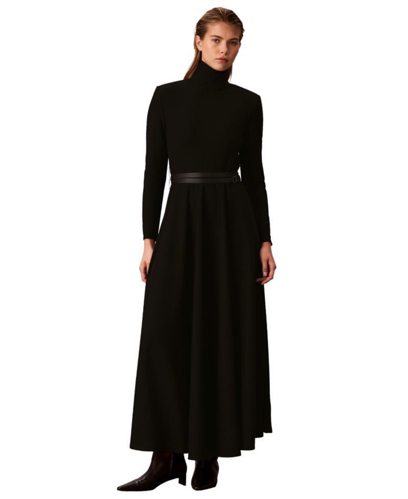 Petite Belted Long-Sleeve Turtleneck A-Line Dress
