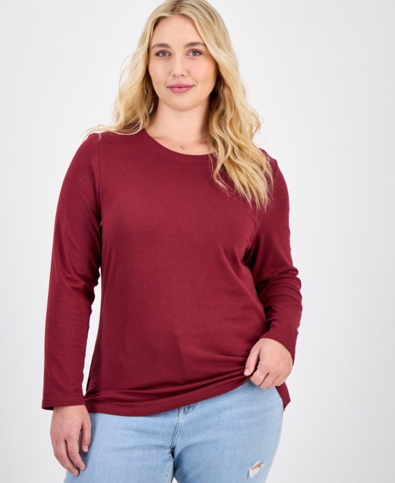 Plus Size Long Sleeve Crewneck Top