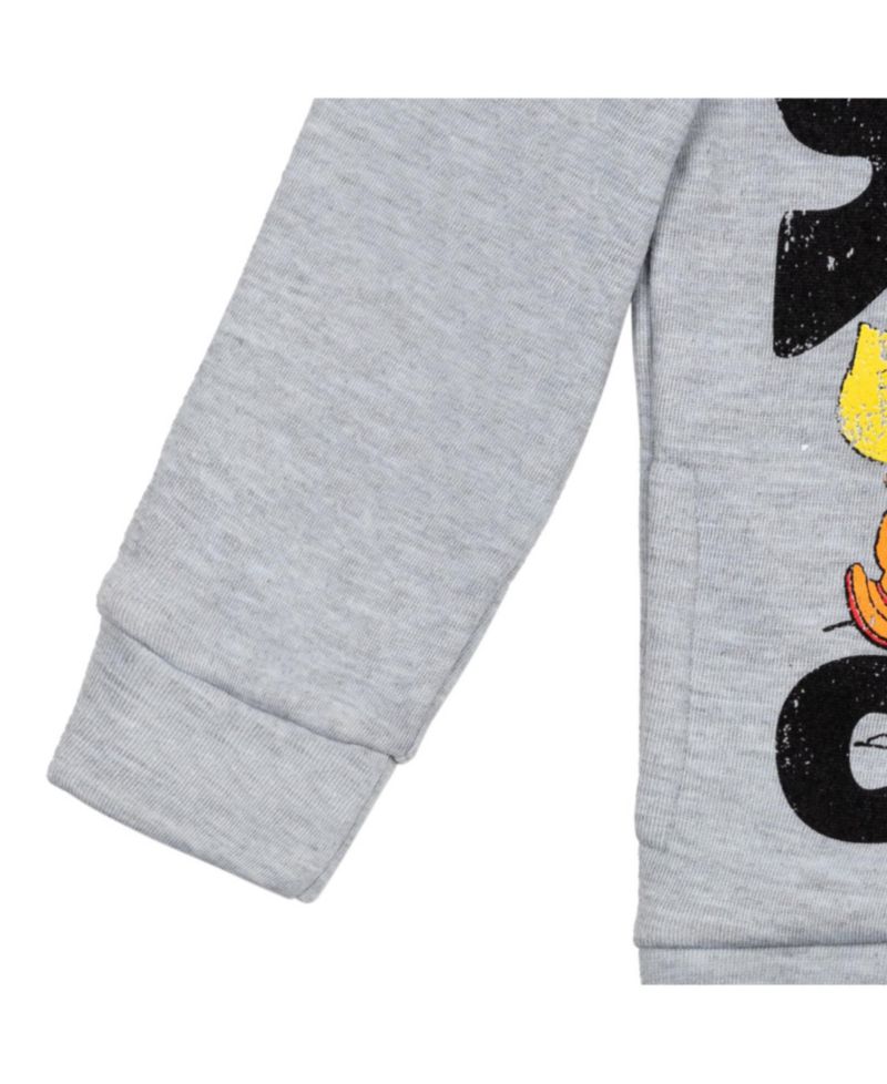 Boys Peanuts,Woodstock Snoopy Fleece Pullover Hoodie