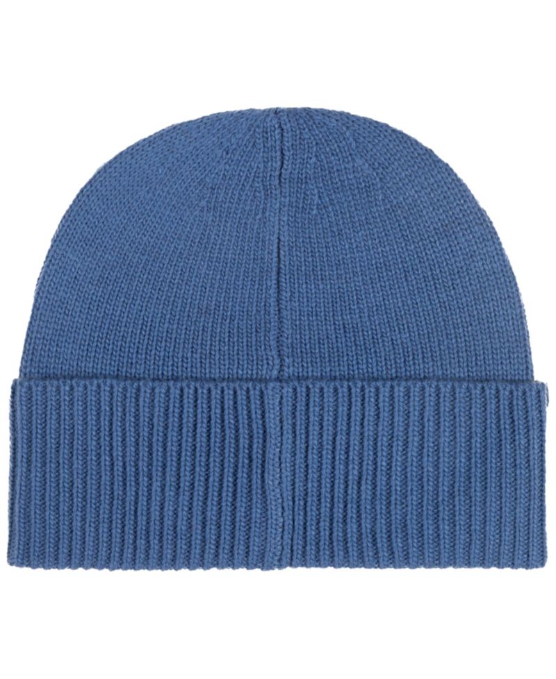 Men's Litchfield Bear Beanie