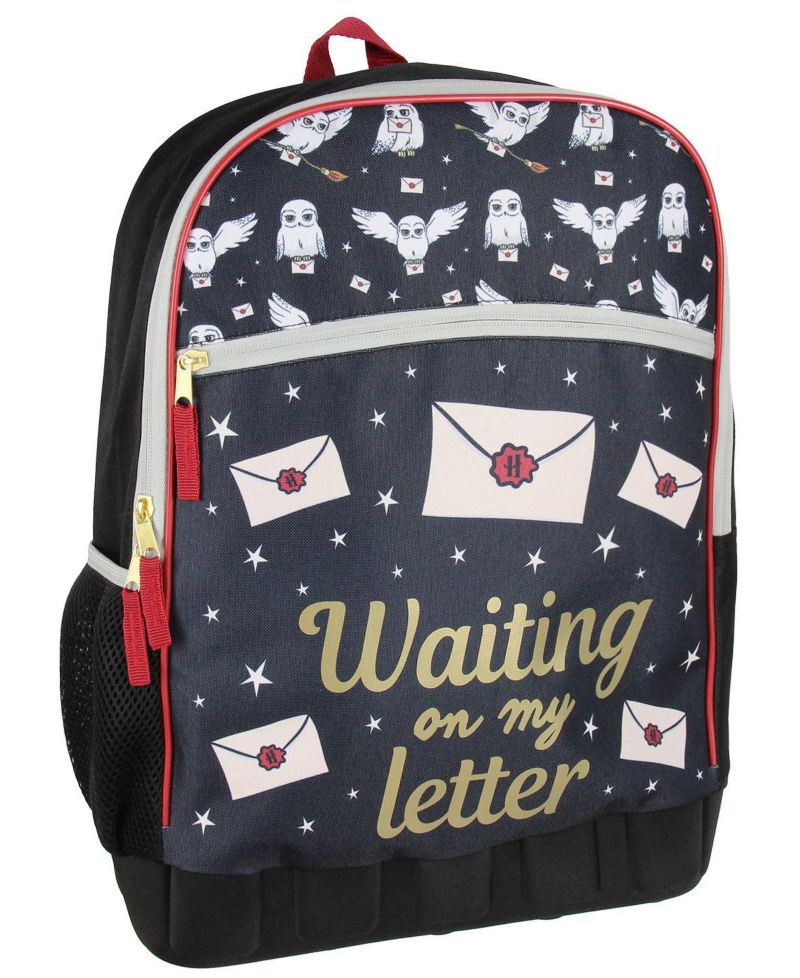 Hogwarts Hedwig Waiting On My Letter School Backpack 17"