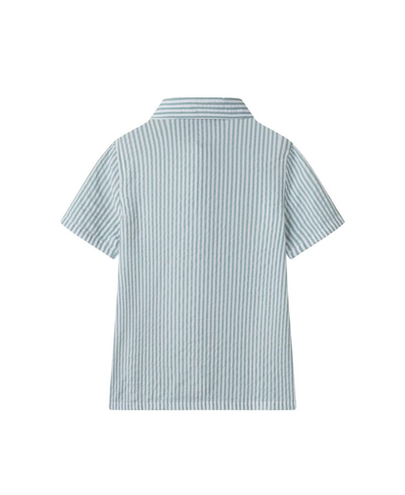 Toddler Boys Toddler/Child Teal Striped Buttondown and Linen Shorts Set