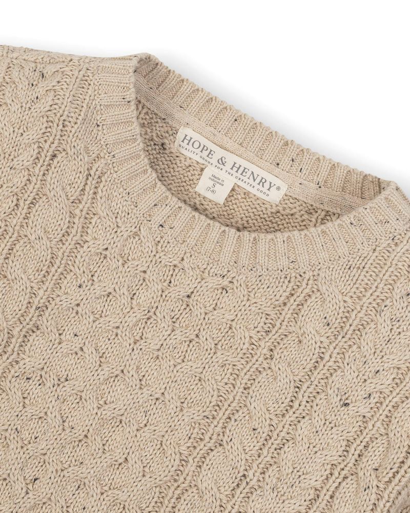 Hope and Henry Little and Big Boys' Organic Long Sleeve Fisherman Cable Pullover Sweater
