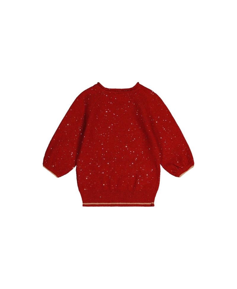 Little and Big Girl(6-14) Sleeve Knitted Sweater