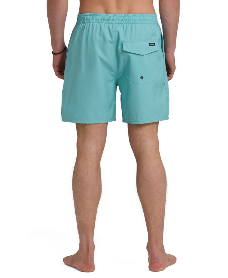 Men's Everyday Swim Shorts