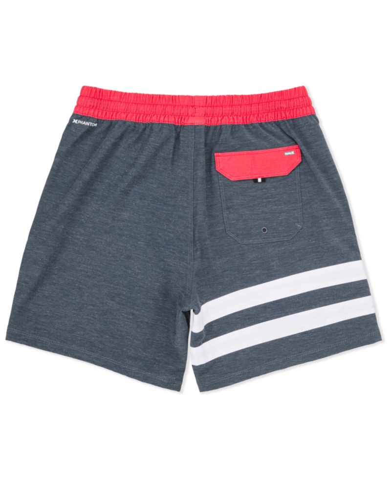 Men's Block Party Volley Stripe Swim Shorts