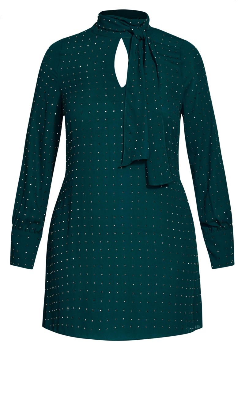 Women's Nailhead Tunic Top