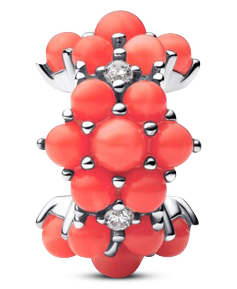 Coral Ocean Charms