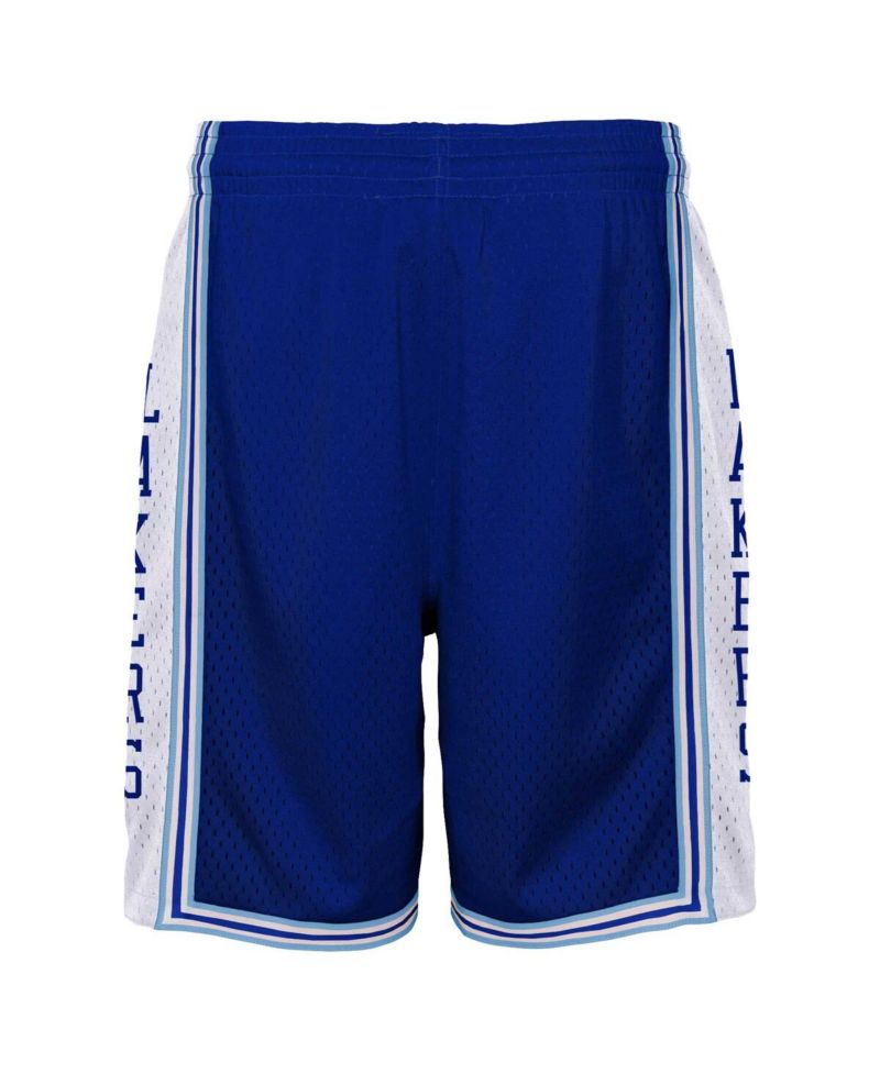 Big Boys Royal Los Angeles Lakers Hardwood Classics Swingman Shorts