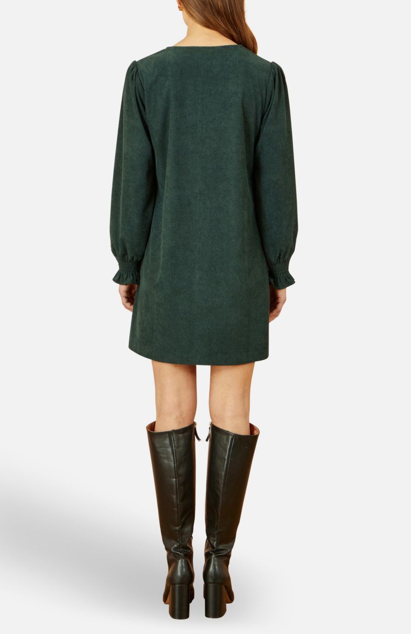 Women's Long Sleeve V-Neck Mini Dress