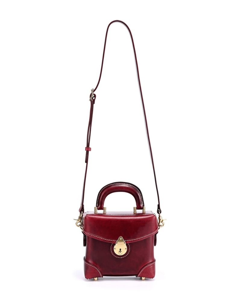 Azalea Vintage Box Crossbody Bag