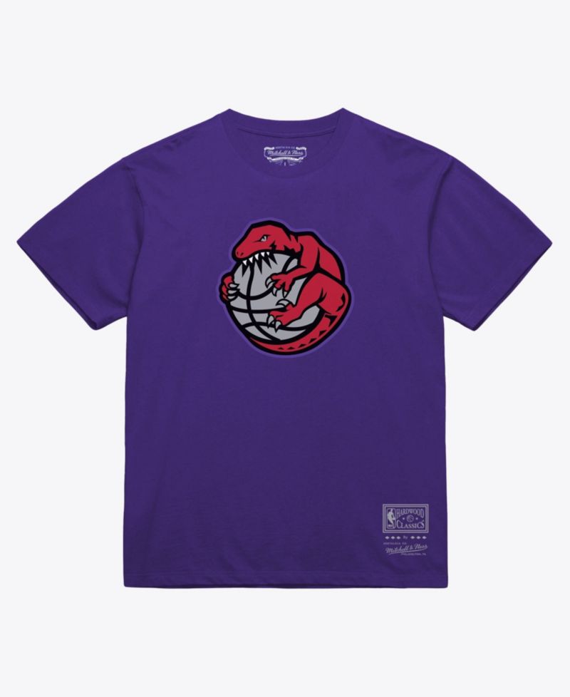 Men's and Women's Purple Toronto Raptors Hardwood Classics Arch T-Shirt