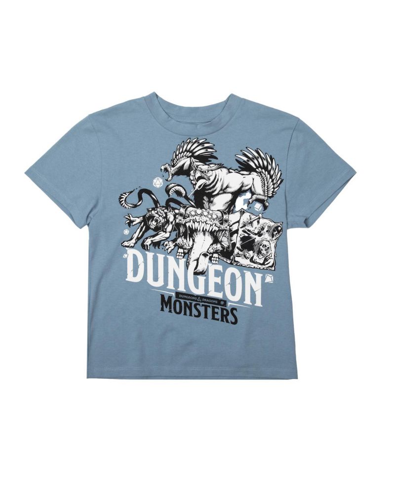 Dungeons and Dragons Youth Boys 4- Pack Tees-Large