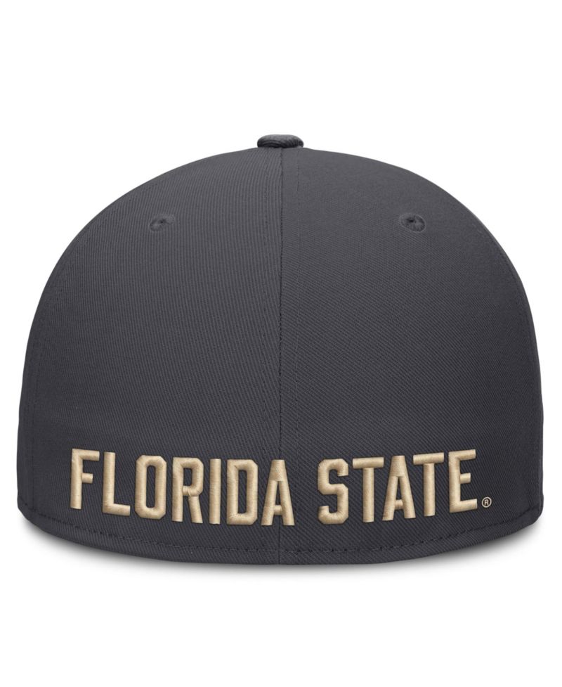Men's Anthracite Florida State Seminoles Pro Dri-FIT Fitted Hat