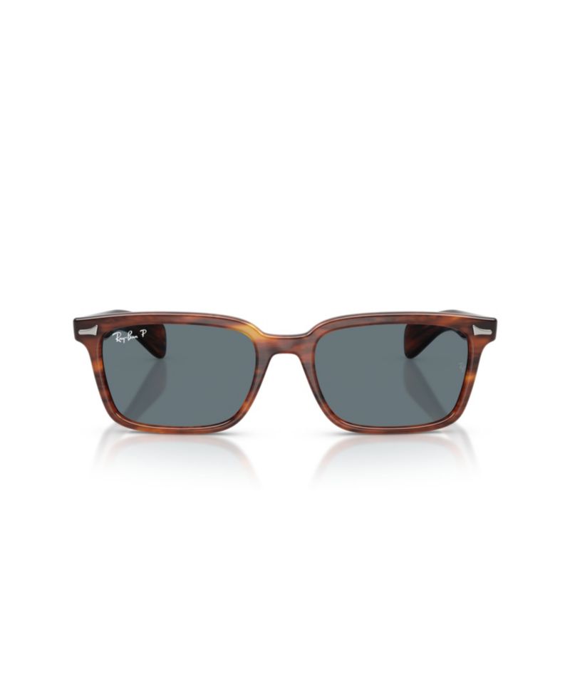 Polarized Tortoise Sunglasses RB2234
